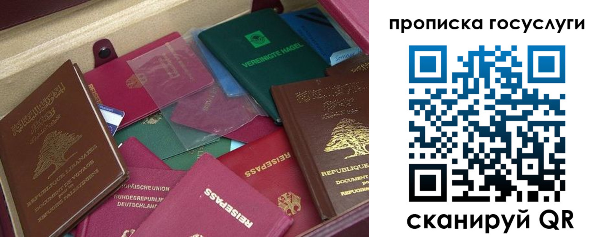 прописка гарантия в Лениногорске